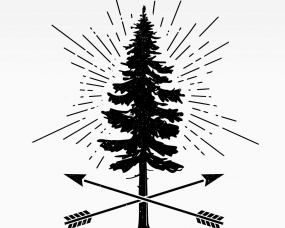 Camp Liberty Identity