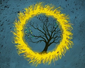Ampersand Books Illustration
