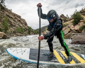 Badfish Website