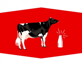 TMK Creamery Identity