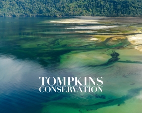 Tomkins Conservation Annual