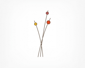 VitaColor Identity